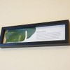 Monstera II Horizontal Black Leaf Frame Panel