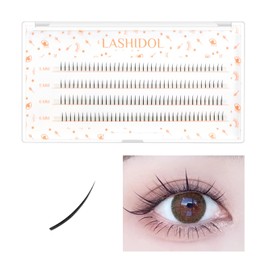 LASHIDOL False Eyelashes, Natural Point Fit, Home Self Pine Extensions, Lower Eyelashes, Large Capacity, 160 Bundles, 0.2 - 0.2 inches (5 - 6 mm) (Mimosa, Matsueku, Black)