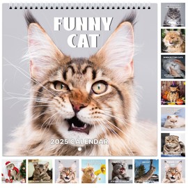 2025 Wall Calendar - Funny Cat Calendar 2025, 9.64" x 19.3" (Open), Jan. 2025 - Dec. 2025, Angry Cat Calendar 2025, Thick Paper, Hanging Hole