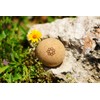 Harmony Ball® Cork Massage Ball - Skin-friendly and 100% Ecological