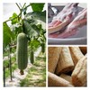 Jaunty Natural Loofah (Paquete de 5) Esponja Exfoliante Corporal Hecha