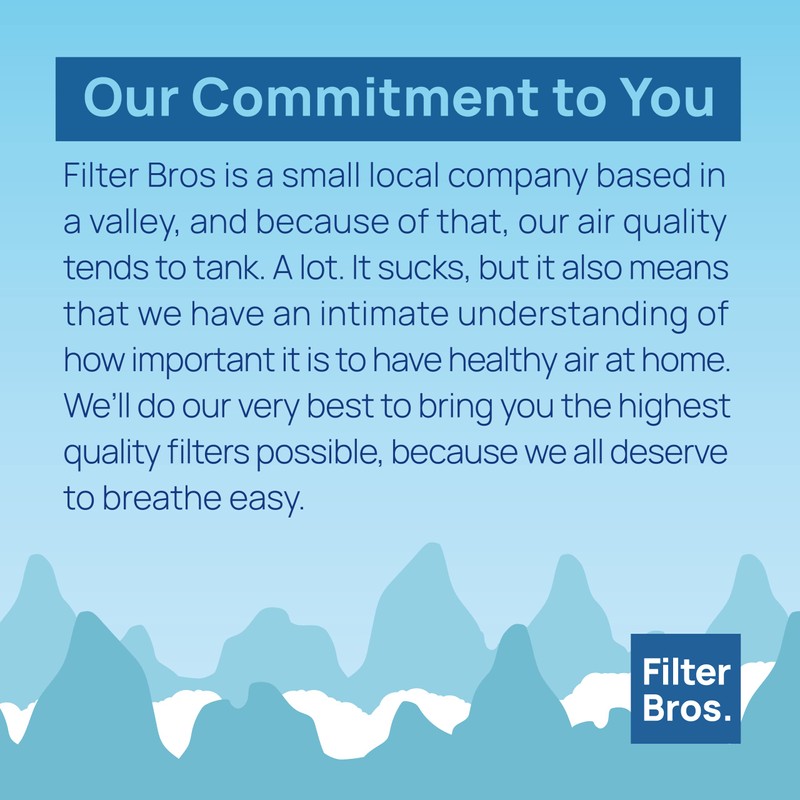 Filter Bros Filter S 113050 C Replacement HEPA Filter Compatible