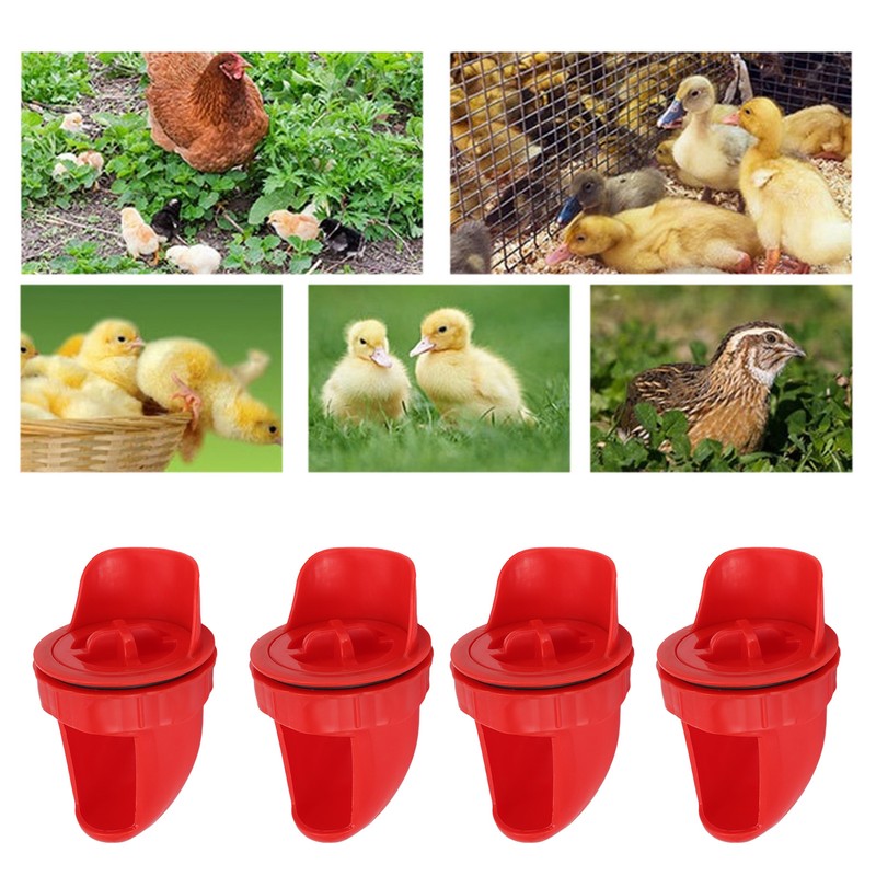 4 Sets DIY Chicken Feeder Rain Proof Poultry Feeder Port