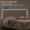 Vecelo LED Light Queen Full Twin Bed Frame with USB