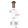 1/4" Dia. X 1/2" Length Copper Solid Rivet, Round Head,