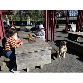 pupperoo Outdoor Adventure Dog Leash Tether (Pink)