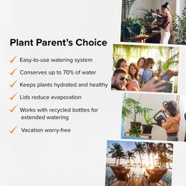 The Olla Company Plant Watering Spikes with Lids - Ideal for 8”-12” Pots - Vacation Friendly - Terracotta - Large - Set of 4