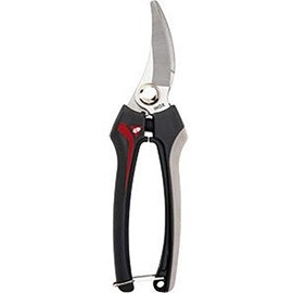 Bellota 3622 INOX-CE MB - Harvesting Scissors