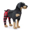 Dog Leg Brace Elastic Safe Shockproof Pet Knee Pads with