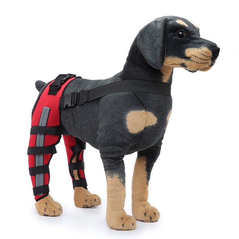 Dog Leg Brace Elastic Safe Shockproof Pet Knee Pads with