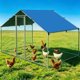 BUCATSTATE Large Metal Chicken Coop 6.6FT x 9.8FT x 6.6FT Outdoor Walk-in Chicken Run, Heavy Duty Poultry Cage for 9-13 Hens, Predator Proof with Thick Waterproof PE Cover & Dual Lock Doors