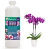 Premium Liquid Orchid Plant Fertilizer - 3-1-2 Concentrate for Indoor