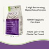 Myco Bliss Granular (200 g) - Mycorrhizal Fungi for Plants