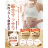 【高濃度ナットウキナーゼ × 菌活】ビフィラル 高濃度 ナットウキナーゼ 4,000FU サプリ 13種菌活 & サラサラ
