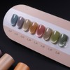 Sujjajel Milk Tea No. 3 Magnetic Gel Single Item /