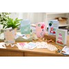 American Greetings 15-Count All Occasion Greeting Card Bundle with Envelopes