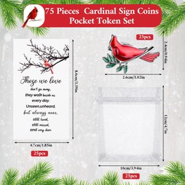 Memorial Cardinal Sign Pin Set Cardinal Memorial Gift Funeral Favours for Guests Those We Love Don’t Go Away Cards Organza Bags Cardinal Brooches for Loss of Loved One Memorial Service (25)