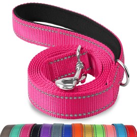 Joytale Double-Sided Reflective Dog Leash, 6 FT/5 FT/4 FT, Padded Handle Nylon Dogs Leashes for Medium & Large Dogs Walking, Hotpink, 6FT