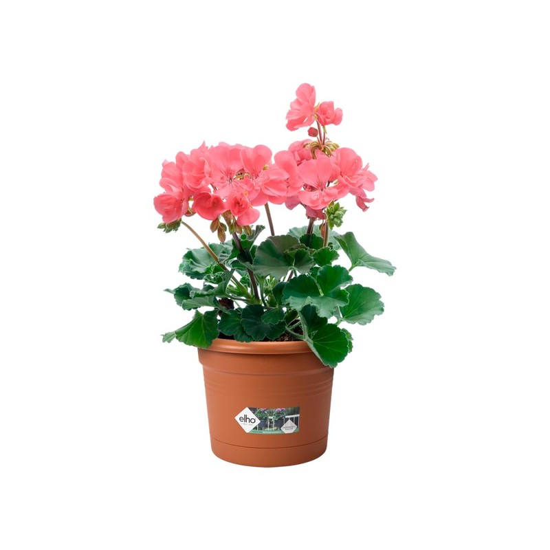Elho Green Basics Potholder Allin1 Metal Planter, Mild Terra, 27