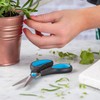 Viners Everyday Set of 2 Scissors | 8 Inch &