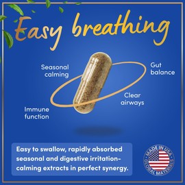 Histamine Blocker for Allergies - Quercetin, Stinging Nettle Flavonoids Natural Antihistamine Tablets - Allergy Relief Supplements & Antihistamines for Adults - 60 Vegan Histamine Block Capsules