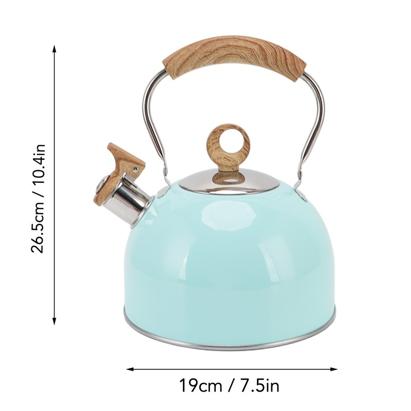 2.5L Whistling Tea Kettle with Handle Stainless Steel Portable Stovetop