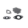 2EXTREME Gasket Set Engine 10 Inch for Flex Tech TVZ