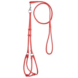 Dogline Soft Round/Rolled Genuine Leather Harness with Leash, 8 Colors, Red, W 1/4-InchxL 4-Feet