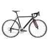 Bike Shield Fork Protection, Transparent Gloss
