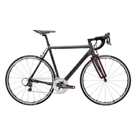 Bike Shield Fork Protection, Transparent Gloss