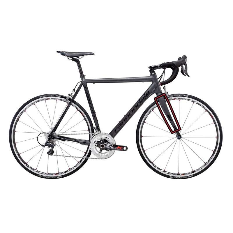 Bike Shield Fork Protection, Transparent Gloss
