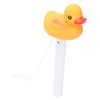 2Pcs Water Thermometer Set High Temperature Resistant Pool Chlorine Dispenser
