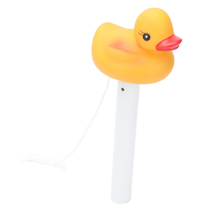 2Pcs Water Thermometer Set High Temperature Resistant Pool Chlorine Dispenser