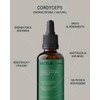 Extracto de Cordyceps Micelia Labs Energía natural Vitalidad y resistencia
