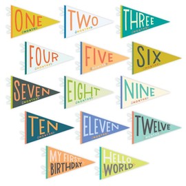 Lucy Darling Lucy Darling Petit Milestone Pennants, 12 Felt Baby Monthly Milestone Banners for Baby Girl & Boy, Newborn Photography Props & Decor, Felt Pennant Flags, Perfect Baby Shower Gifts (Little Kaleidoscope)