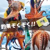 Octopus Fishing Balls (36 Octopus Fishing Balls Set with 2