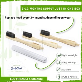 Replaceable Bamboo Toothbrush Aluminum Handle - BPA Free, Soft Bristles | Eco-Friendly, Biodegradable, Compostable, Vegan & Zero Waste | 3 Heads Total | 9-12 Months supply. (CHARCOAL BRISTLES)