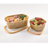 Snips Aroma Keeper 4 L, Square Food Storage Container, Removable