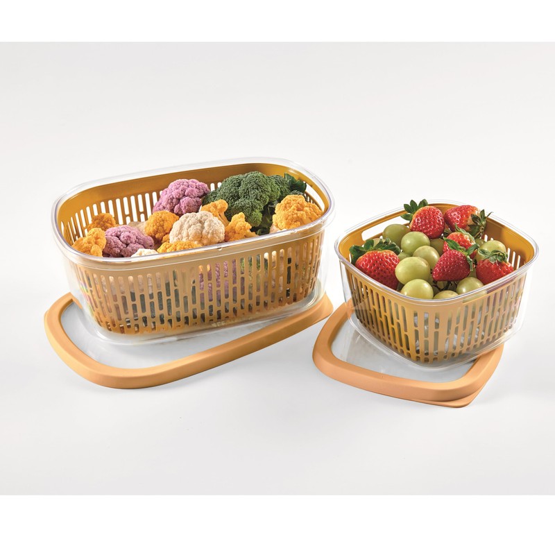 Snips Aroma Keeper 4 L, Square Food Storage Container, Removable