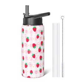 Strawberry Gifts 18oz Sport Water Bottle with Flip Straw & Spout Lid, Pastel Plaid Stainless Steel Insulated Gym Water Bottle, Cute Fruit Lover Gifts for Women Girls (1 PC)