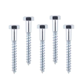 RADSO® M10 (10mm x 70mm) Zinc-Plated Hex Head Coach/Wood/Lag Screws -DIN 571- Ideal for Wood, Masonry, Brick, Concrete- Perfect for Fences, Shelves, Decking, Professional & DIY Projects- Pack of 10