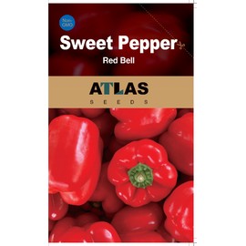ATLAS Sweet Pepper -Red Bell over 50 seeds