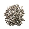 100 Stainless Steel Spikes for Track and Terrain 100 x