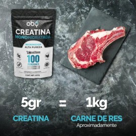 Creatina Monohidratada y Micronizada Polvo  100 Alta Pureza Certificada  Sin Sabor, Disuelve rápido, Scoop Dosificador  Pre Entreno Gym workout Oby...