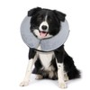 BENCMATE Protective Inflatable Collar for Dogs and Cats - Soft