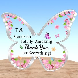 AMZQ Teaching Assistant Gift Thank You TA Acrylic Keepsake Gifts Appreciation Gifts for Teaching Assistant