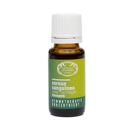 RATHAUS APOTHEKE WIEN Concentrated Bud Extract - Gemmotherapy - Cornus Sanguinea - The Red Dogwood - 15 ml