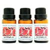 Crazy Candles Watermelon 3 Bottles 1/2 FL Oz Each (15ml)