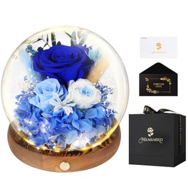 MAMAMIKO Preserved Roses in Glass Dome with LED Light - Long Lasting Real Roses, Forever Flowers for Delivery, Mothers Gifts for Her, Mom, Wife Anniversary Birthday Gifts for Women, Blue