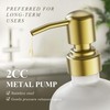 Cisily Kitchen Soap Dispenser Set Comes with Ceramics Sponge Holder,